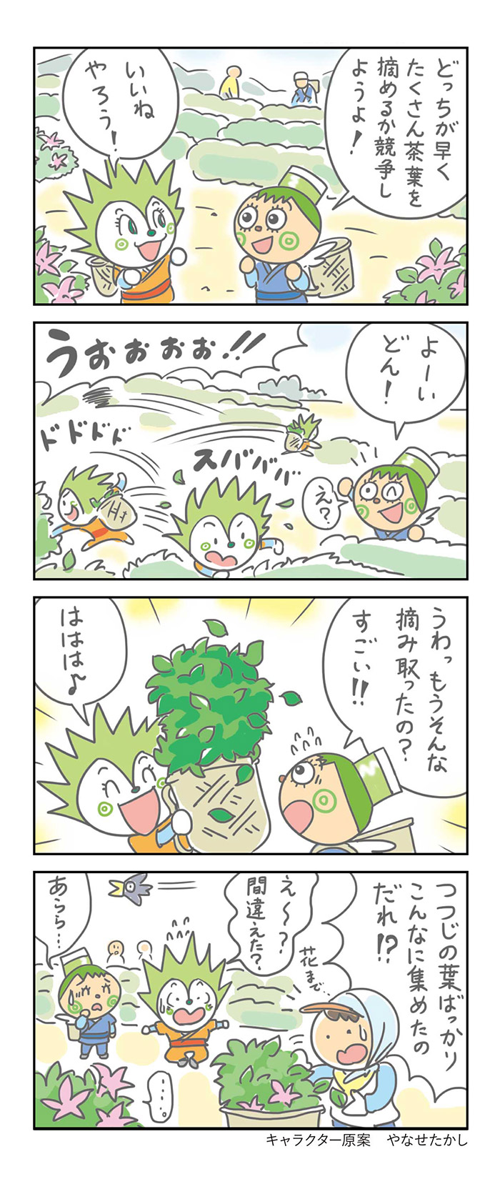 茶摘みの巻
